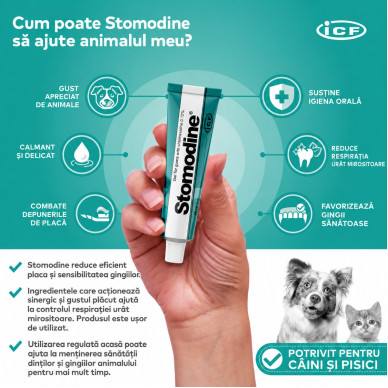 Stomodine – Gel Oral Antiseptic pentru Câini și Pisici – 30 ml